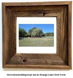 horseback riding near me in Orange Lake, New York